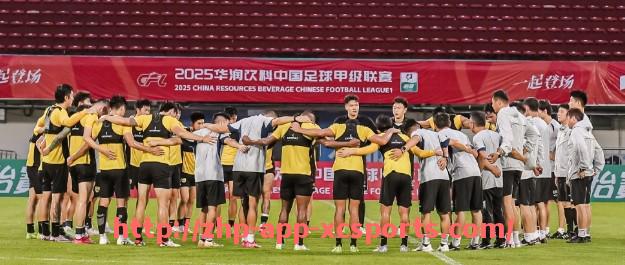 杏彩体育-英超球衣上葫芦图案的意义及球迷文化