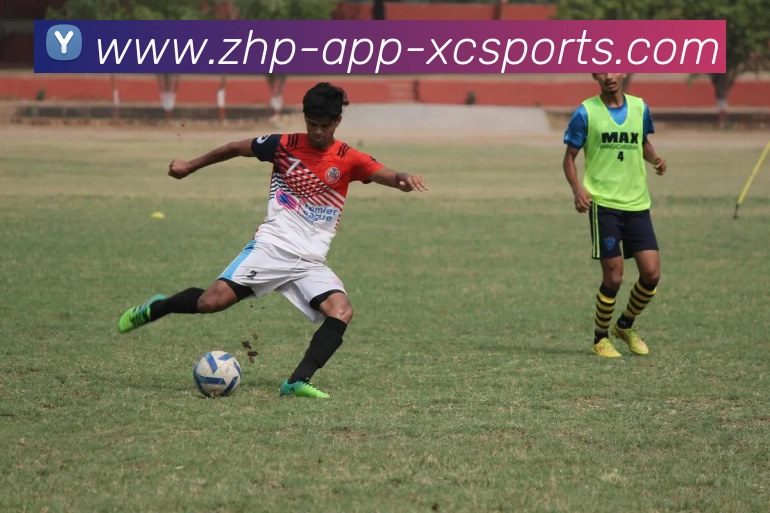 杏彩体育APP 封面图