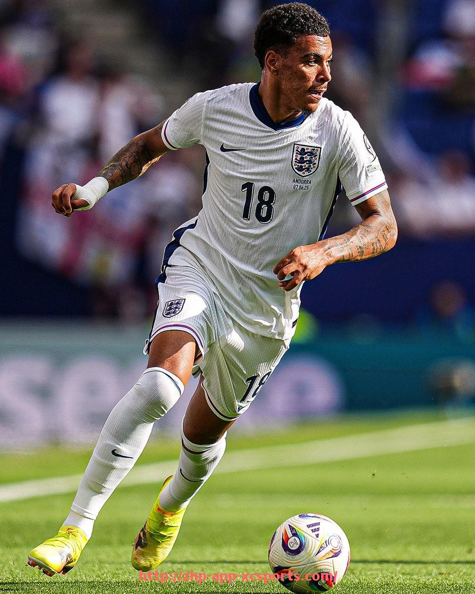 杏彩体育-英超本土球员上场限制政策及其影响